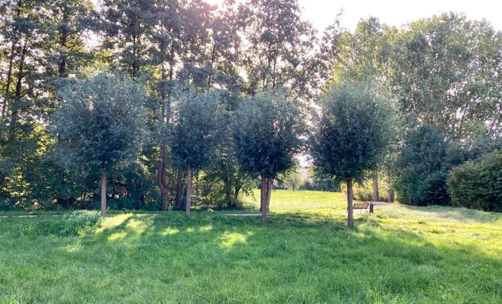Moderner Bungalow Im Seebad Bansin, 200 Meter Zum Strand Heringsdorf  Bagian luar foto